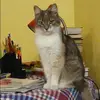 Отзыв от Лариса Чистякова